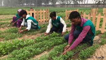 Indien Rewild Life Biodiversity Farm (DW/S. Kumar)