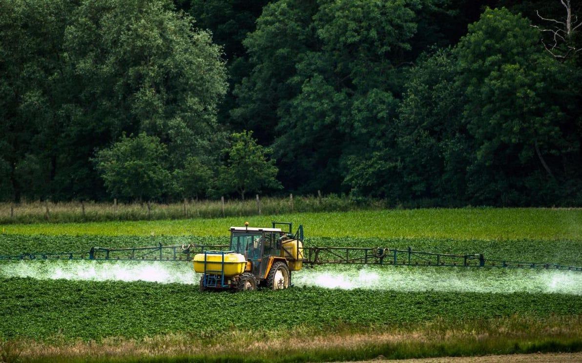 Canadian Council on Food Safety and Health