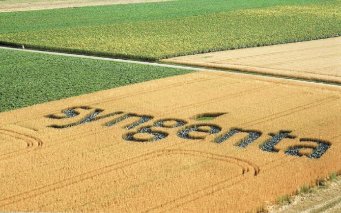 Canadian Council on Food Sovereignty and Health