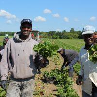 Canadian Council on Food Sovereignty and Health